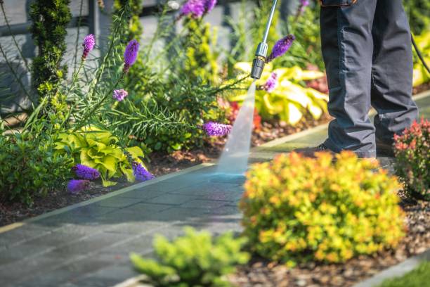 Best Restaurant Pressure Washing  in Holland, TX